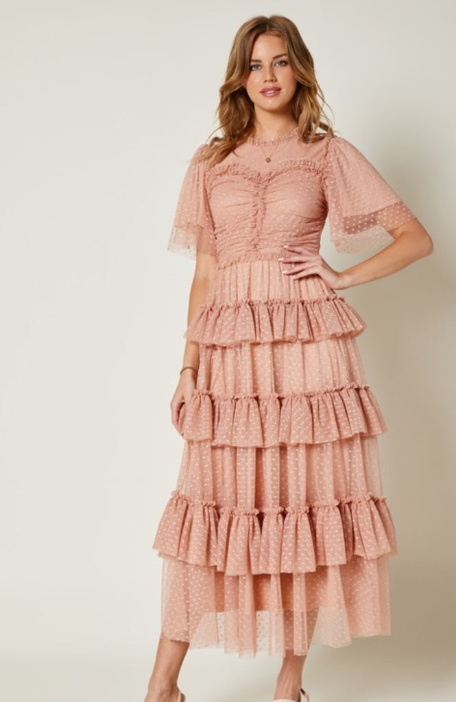 Blush Tulle Ruffled Dress